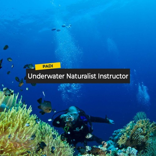 Underwater Naturalist Specialty Instructor Underwater Naturalist Specialty Instructor