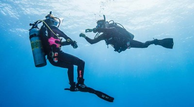 10 Questions Every Instructor Has Been Asked 10 Questions Every Instructor Has Been Asked