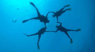 5 Ways Becoming a PADI Dive Instructor Benefits You in the Real World 5 Ways Becoming a PADI Dive Instructor Benefits You in the Real World
